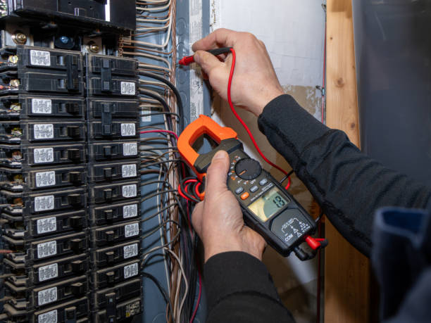 Best Electric Panel Repair  in Onarga, IL